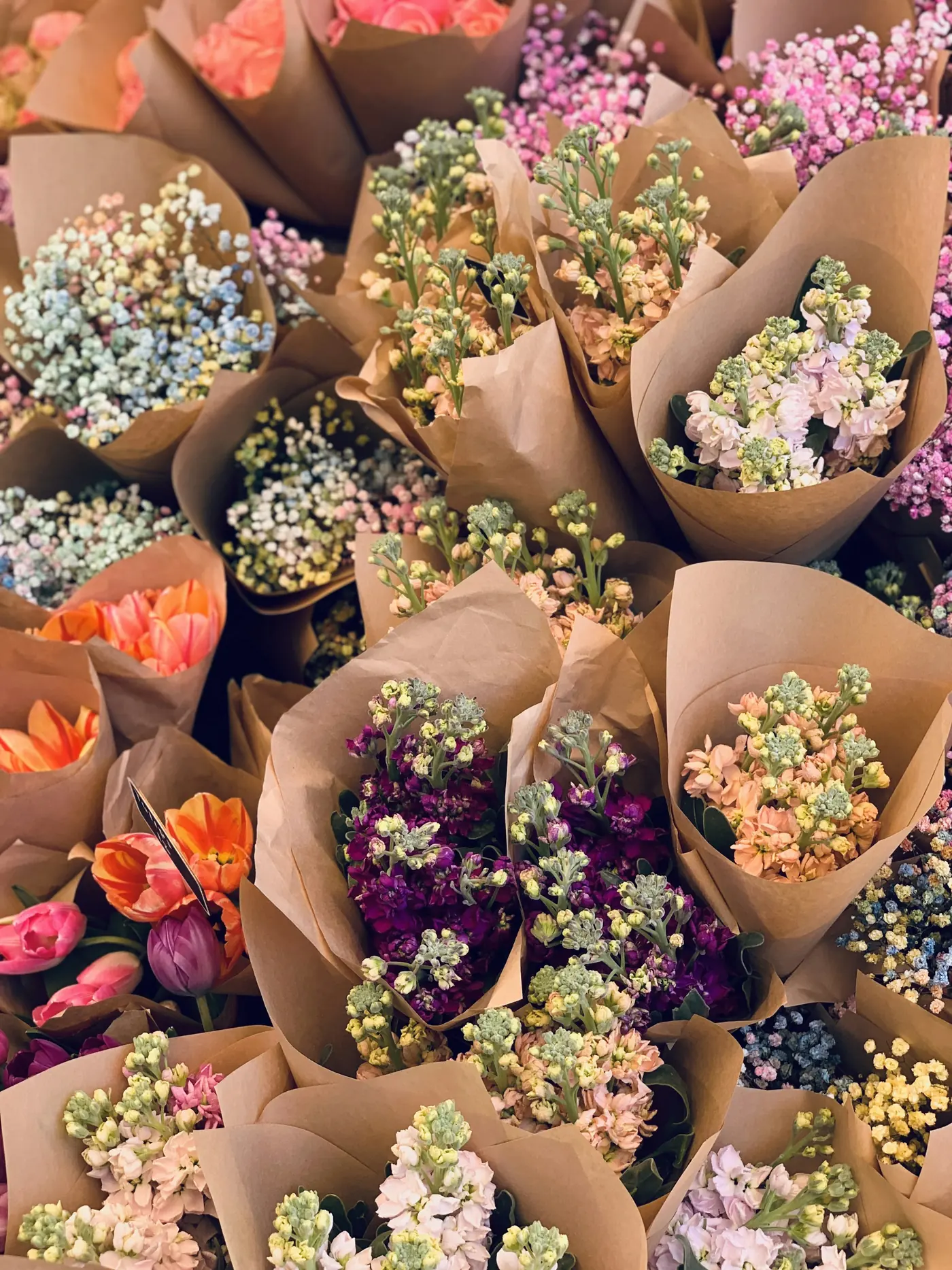 estudio floral en Pitalito (foto de muestra)