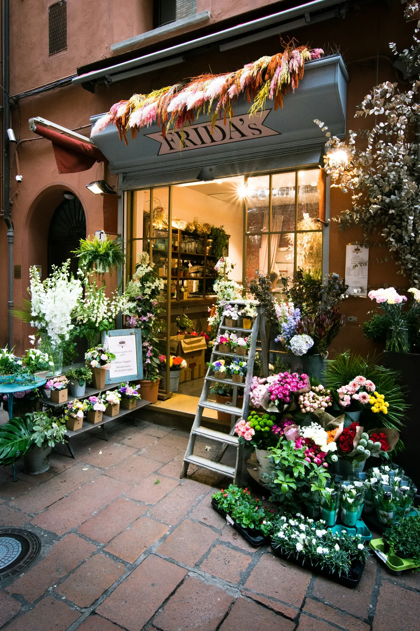 estudio floral en Pitalito (foto de muestra)