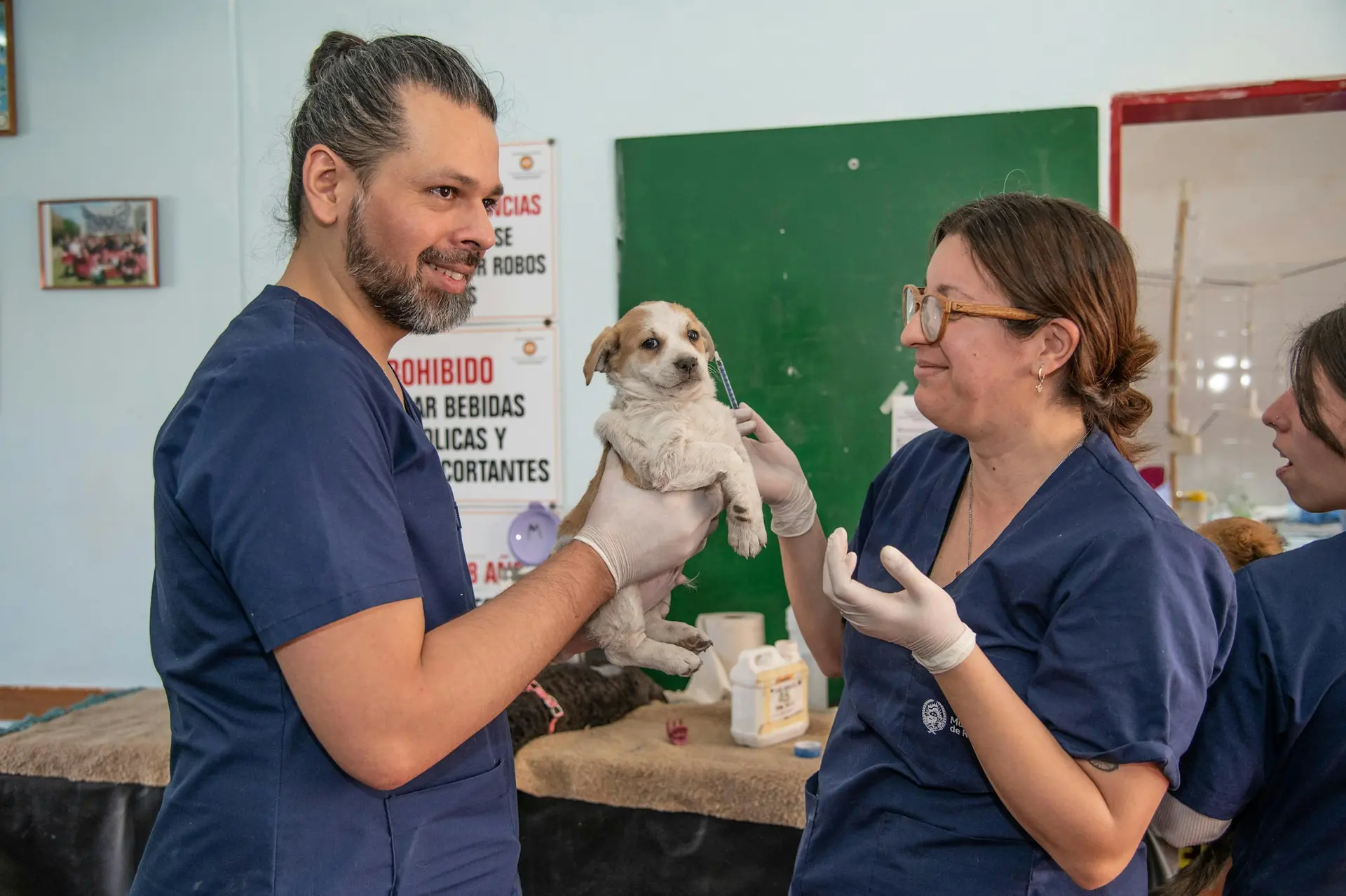 clínica veterinaria en Pitalito (foto de muestra)